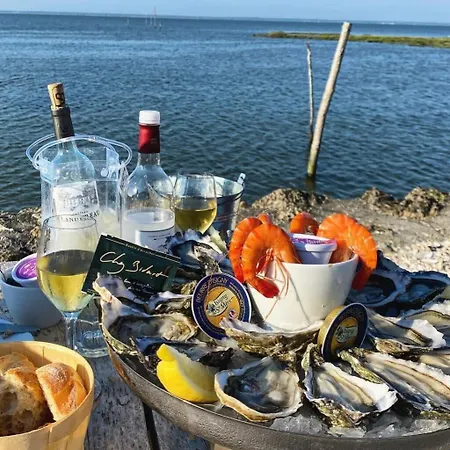 Puppy Entre Terre Et فيلة *